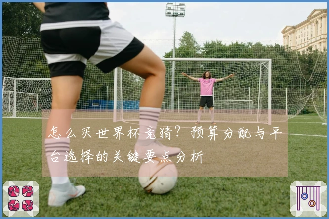 怎么买世界杯竞猜？预算分配与平台选择的关键要点分析